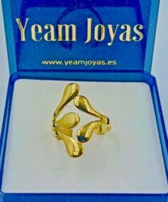 anillo cloud